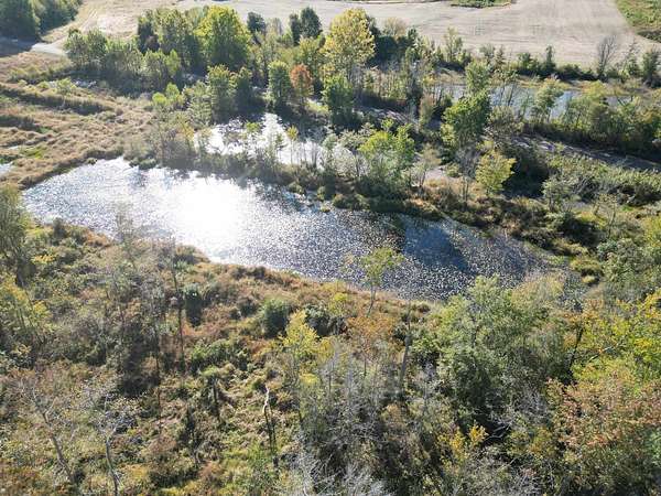 13.1 Acres of Land for Sale in Medon, Tennessee