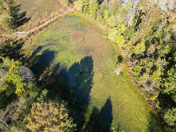 22 Acres of Recreational Land for Sale in Medon, Tennessee