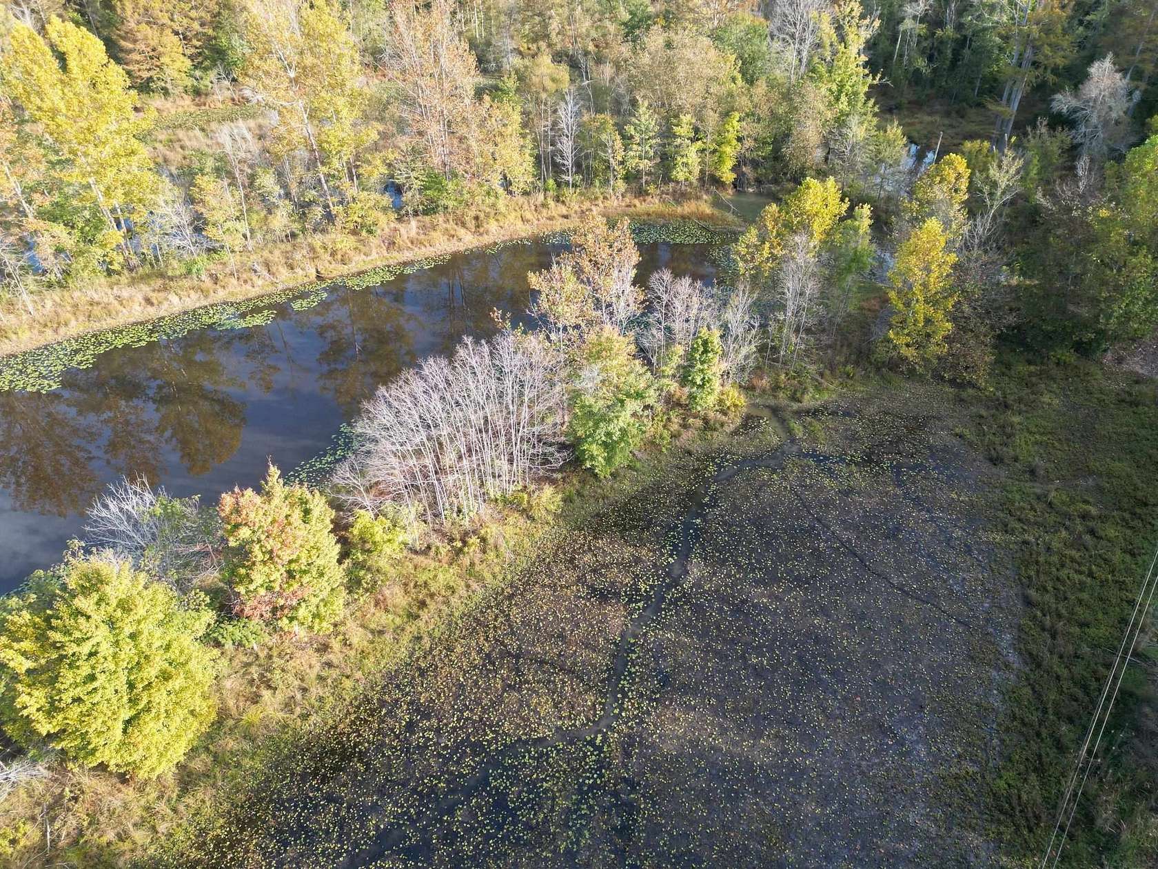 31.1 Acres of Recreational Land for Sale in Medon, Tennessee