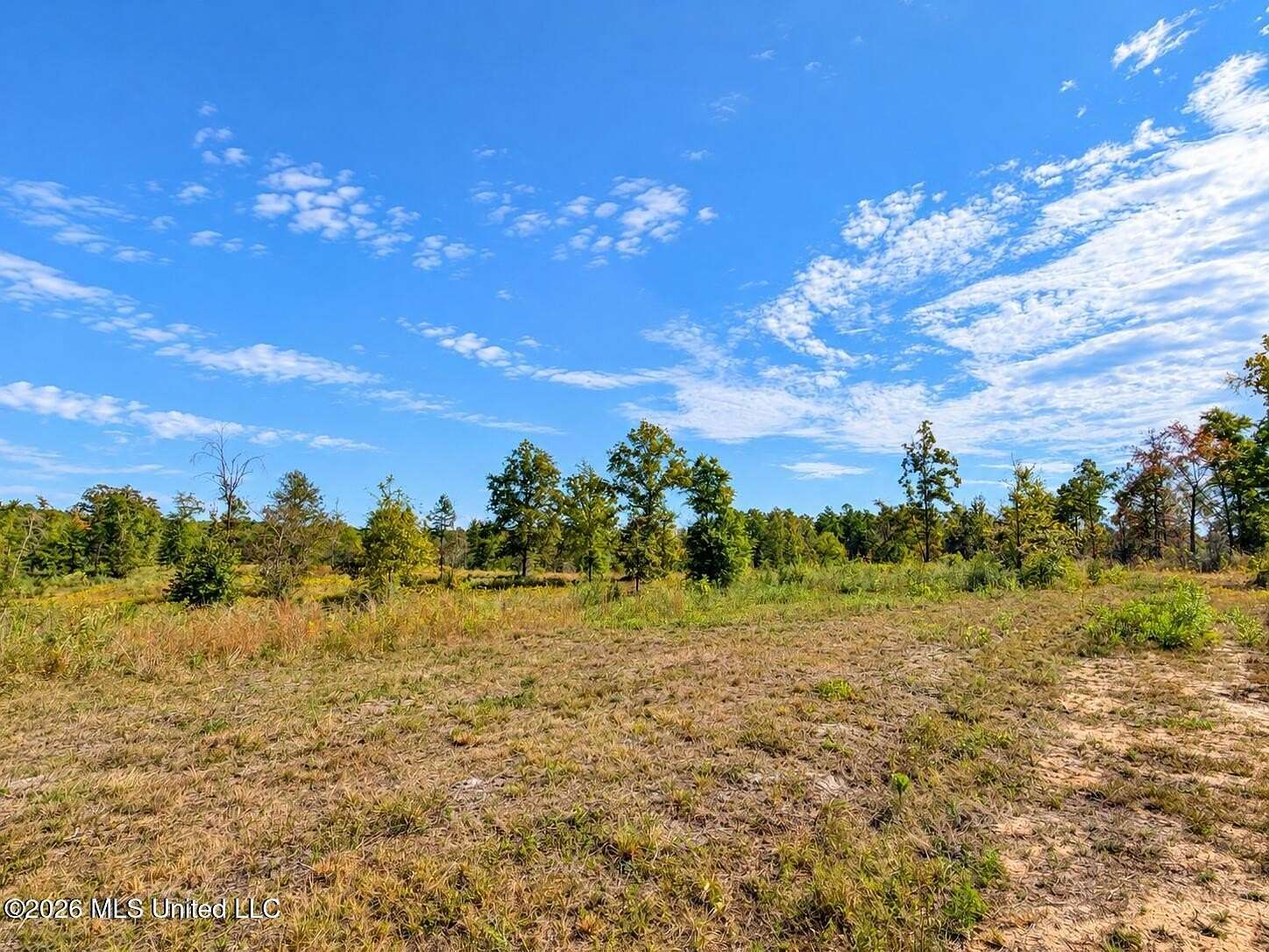 23.2 Acres of Mixed-Use Land for Sale in Leakesville, Mississippi