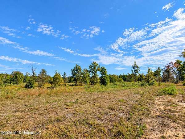23.2 Acres of Mixed-Use Land for Sale in Leakesville, Mississippi