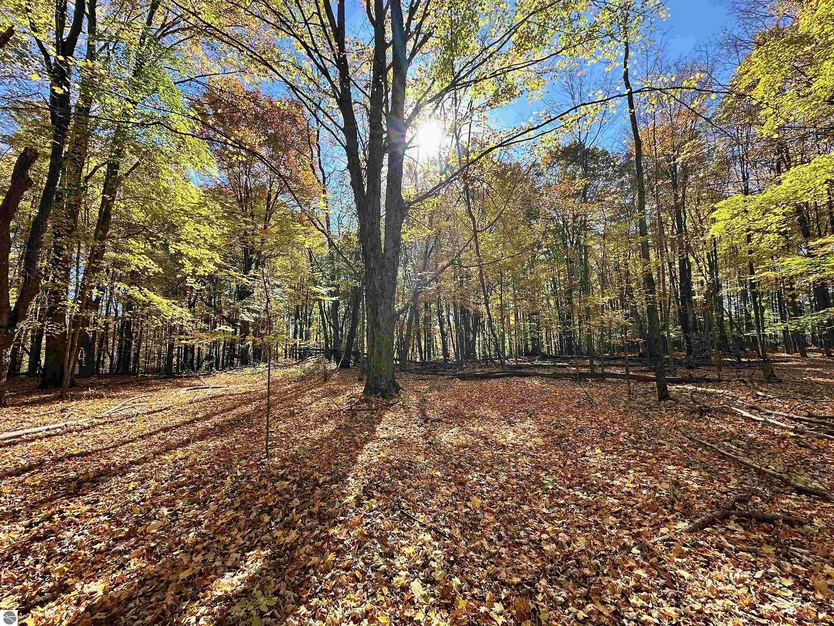 3 Acres of Residential Land for Sale in Thompsonville, Michigan