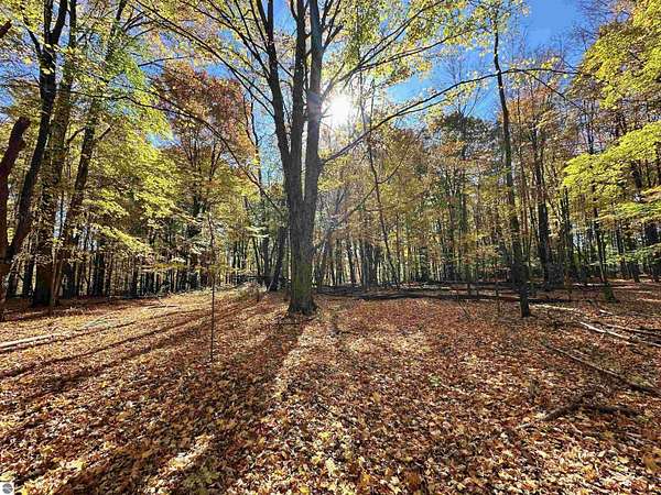 3 Acres of Residential Land for Sale in Thompsonville, Michigan