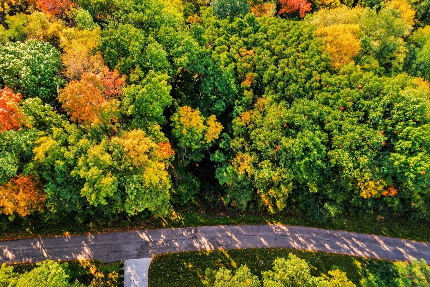 1 Acre of Residential Land for Sale in Niles, Michigan