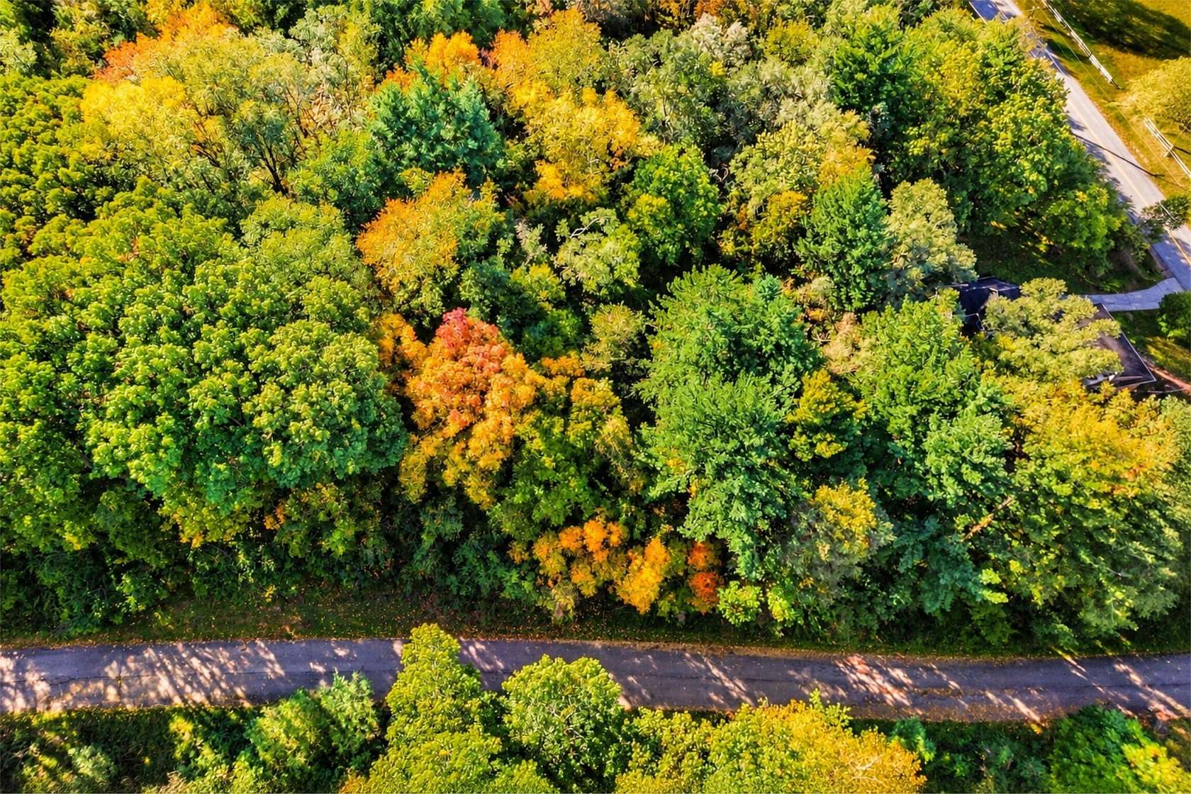 1 Acre of Residential Land for Sale in Niles, Michigan