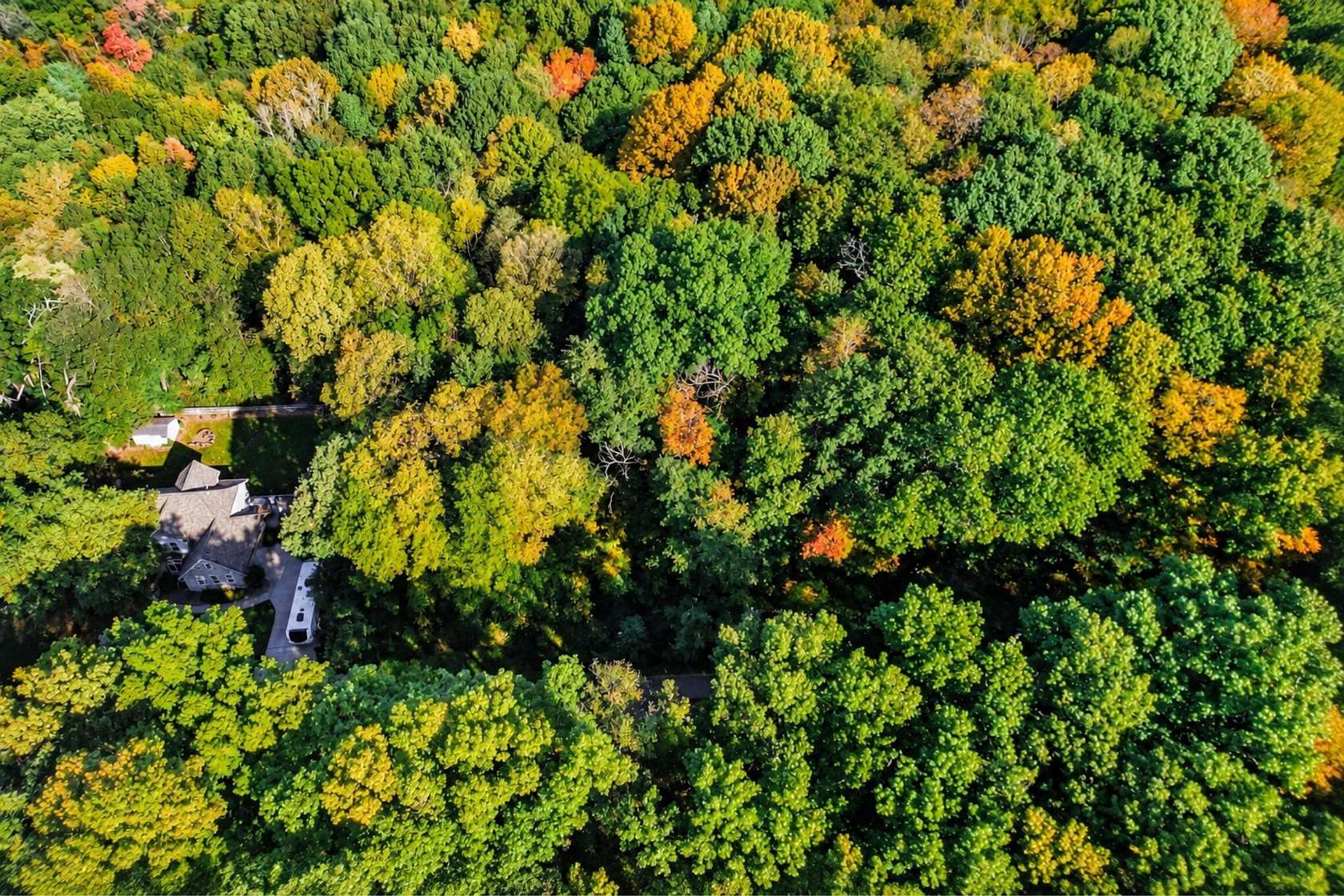 1 Acre of Residential Land for Sale in Niles, Michigan