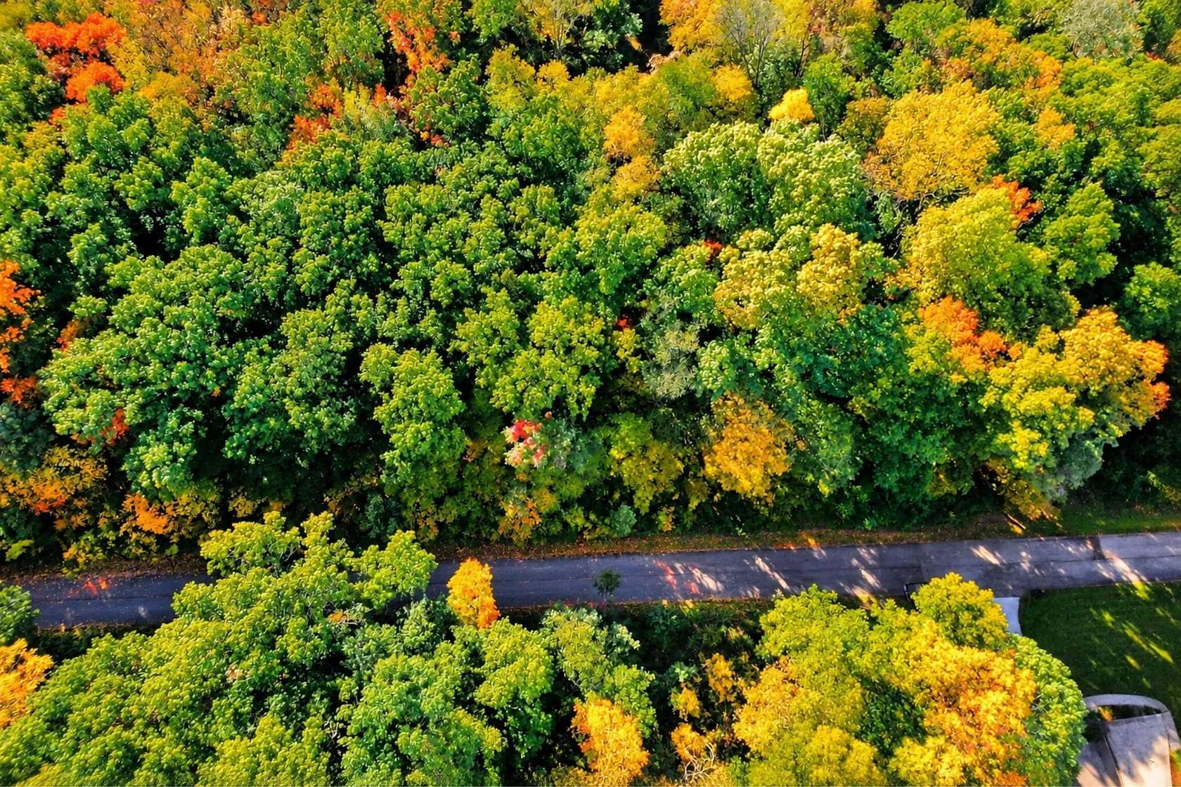 1 Acre of Residential Land for Sale in Niles, Michigan