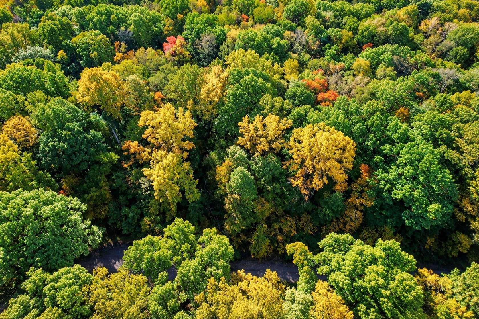1 Acre of Residential Land for Sale in Niles, Michigan