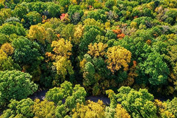 1 Acre of Residential Land for Sale in Niles, Michigan