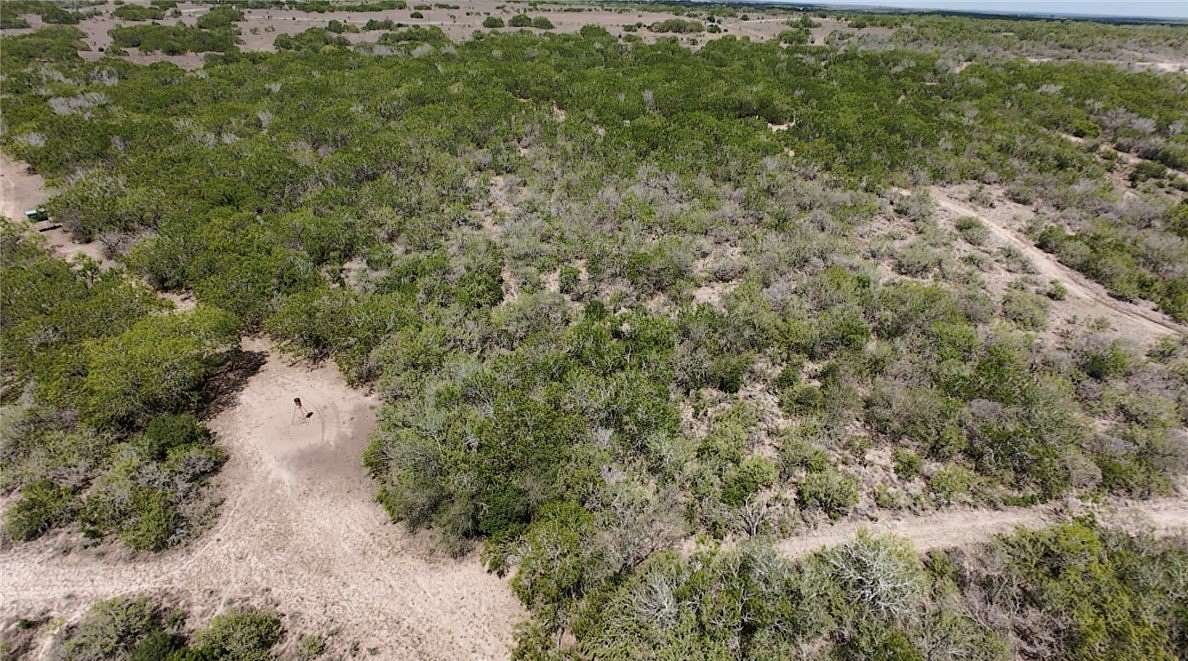 267 Acres of Land for Sale in Sandia, Texas