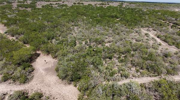 267 Acres of Land for Sale in Sandia, Texas