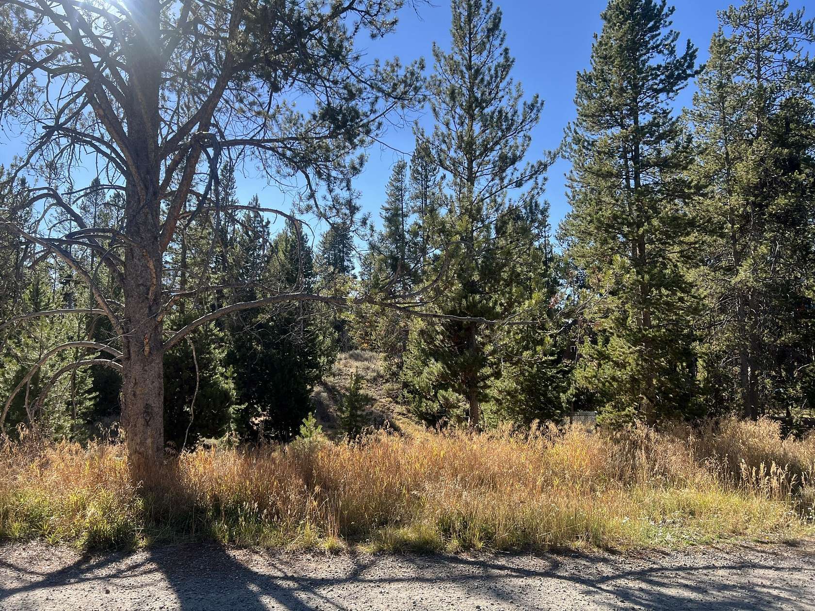 0.38 Acres of Residential Land for Sale in Stanley, Idaho