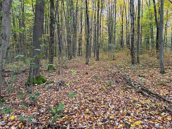 20 Acres of Recreational & Residential Land for Sale in Machias, New York
