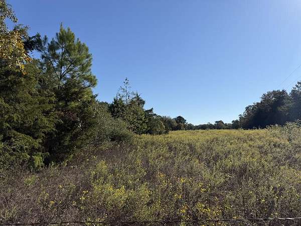6.8 Acres of Land for Sale in Palestine, Texas