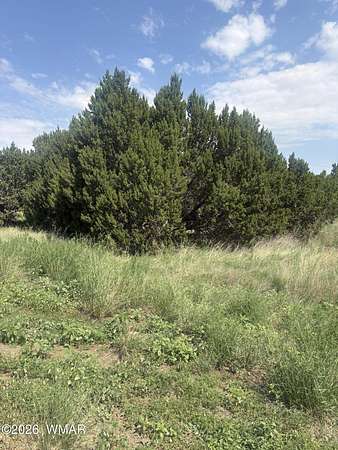 5 Acres of Land for Sale in Concho, Arizona