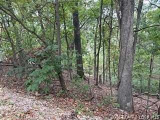 1 Acre of Residential Land for Sale in Jasper Township, Missouri