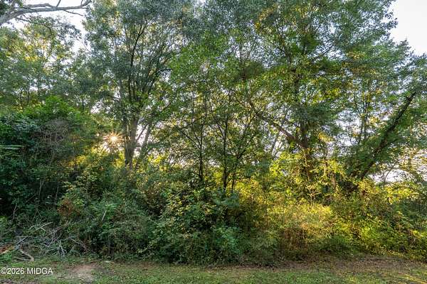 0.26 Acres of Residential Land for Sale in Forsyth, Georgia