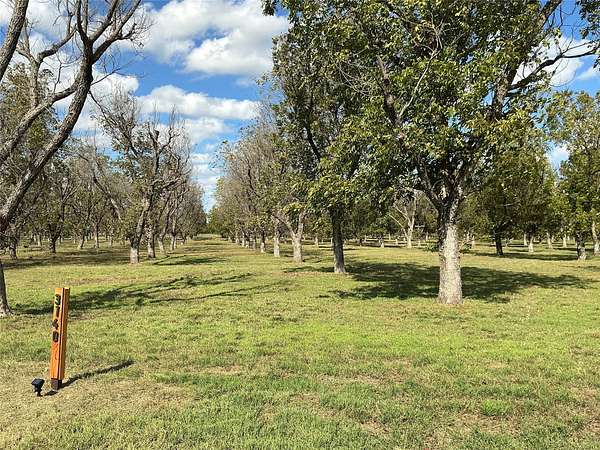 3 Acres of Residential Land for Sale in Granbury, Texas