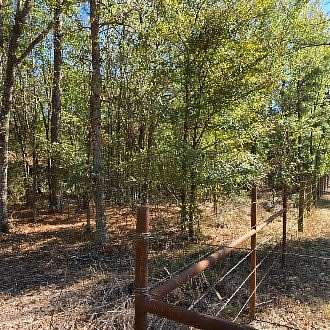 9.8 Acres of Land for Sale in Sarepta, Louisiana