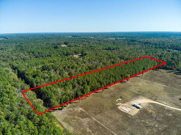 9.8 Acres of Land for Sale in Sarepta, Louisiana