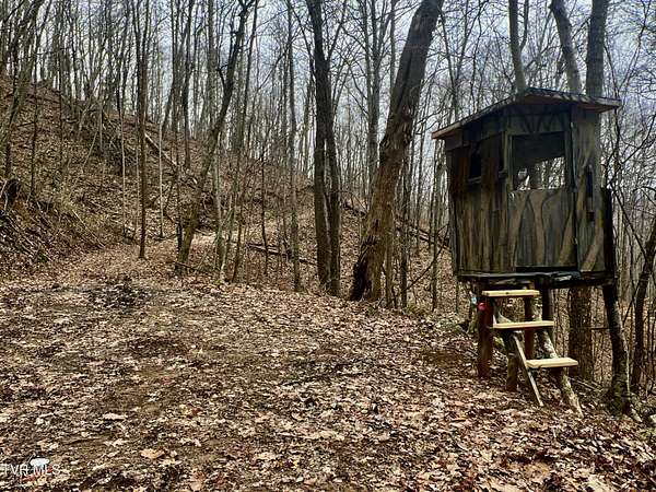 212 Acres of Recreational Land for Sale in Rogersville, Tennessee