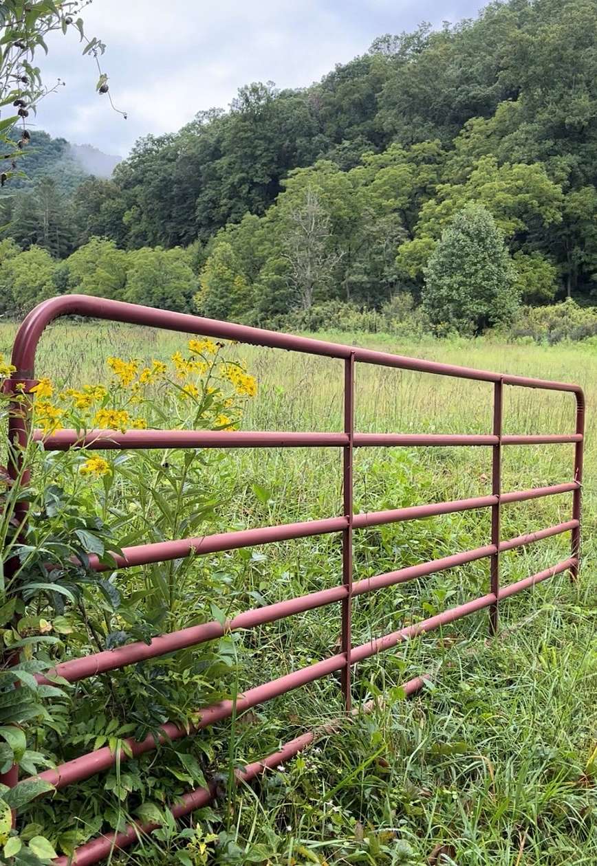 34.6 Acres of Recreational & Residential Land for Sale in Cullowhee, North Carolina