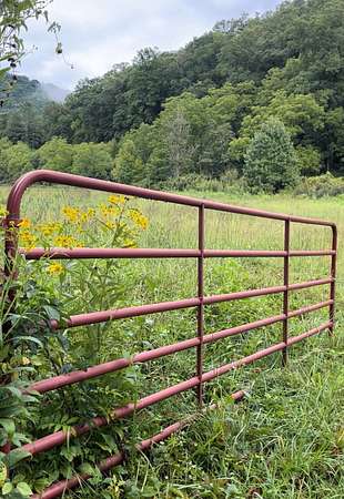 34.6 Acres of Recreational & Residential Land for Sale in Cullowhee, North Carolina