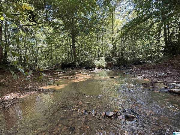 220 Acres of Recreational & Residential Land for Sale in Heflin, Alabama