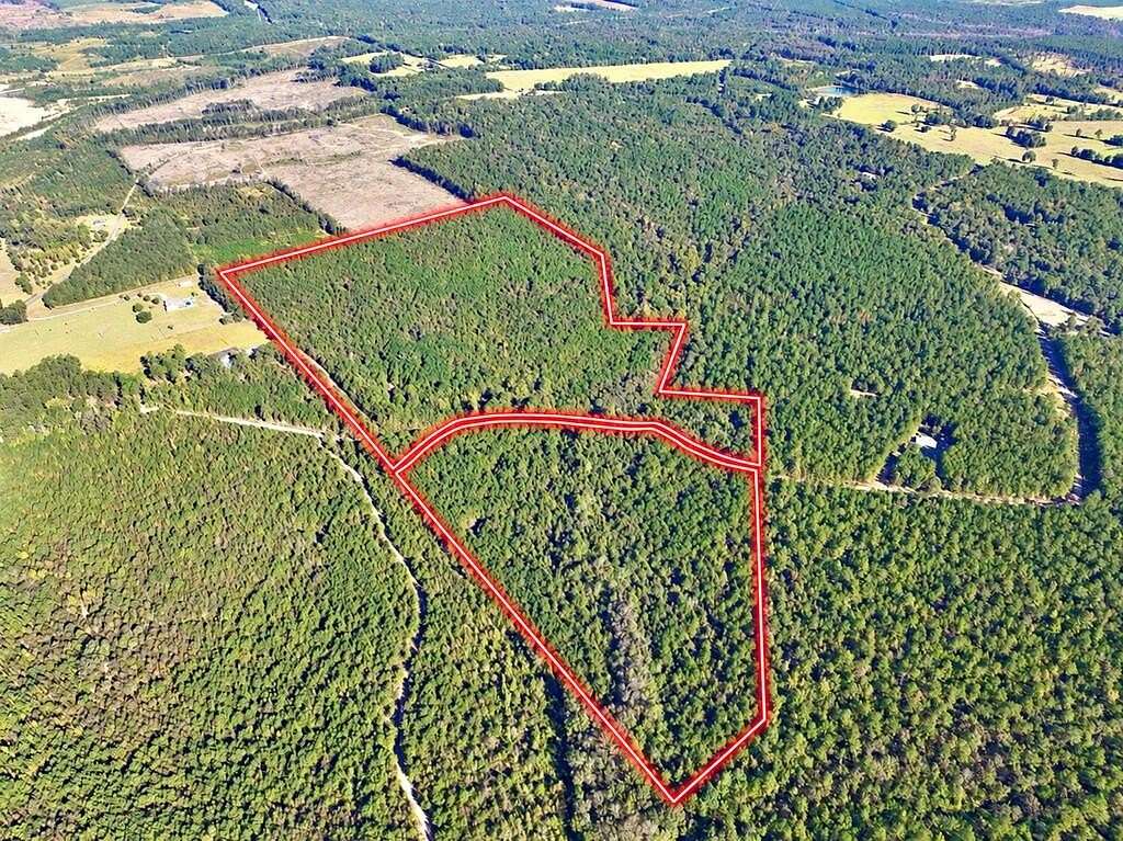 86.7 Acres of Recreational & Residential Land for Sale in McIntyre, Georgia