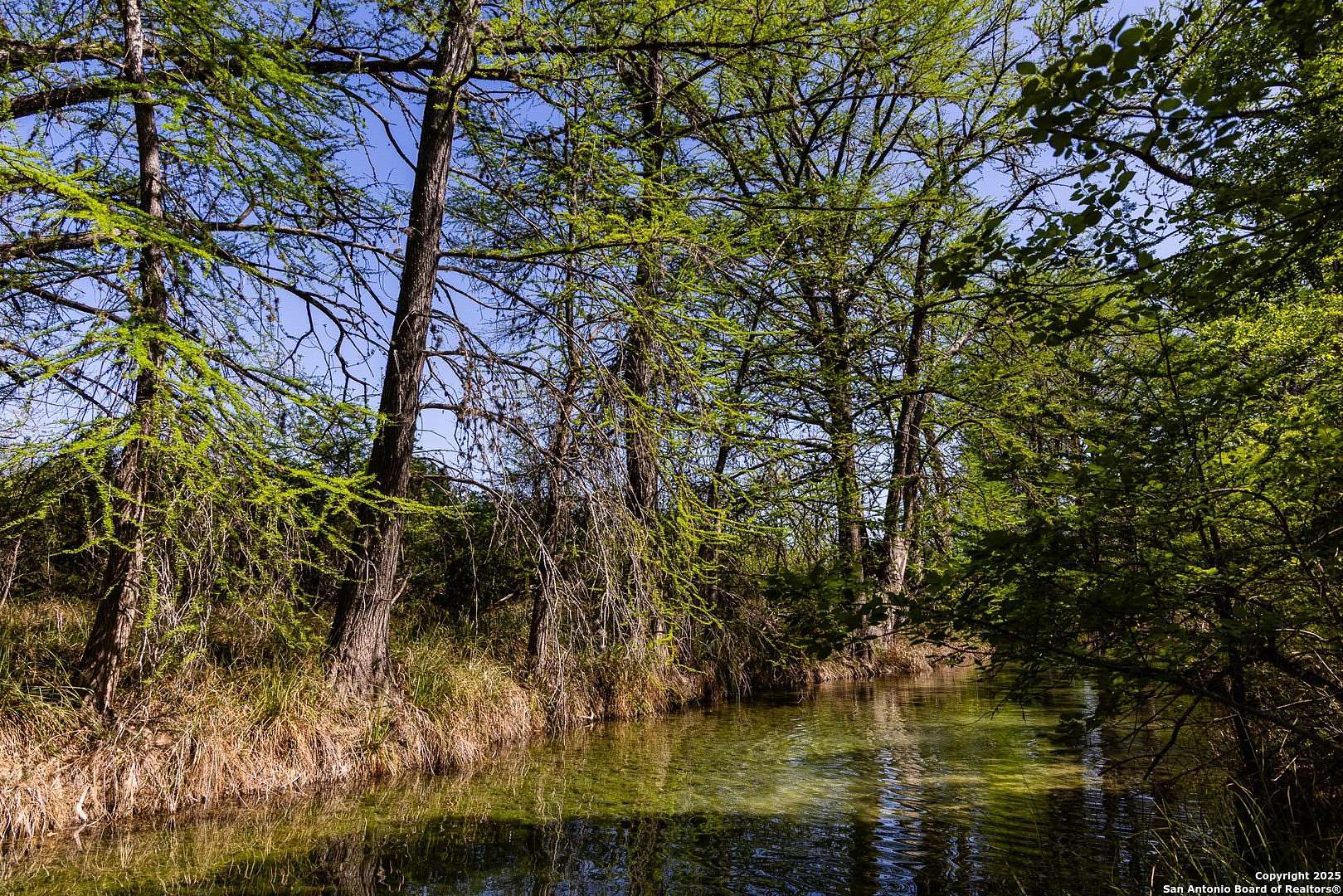 8.5 Acres of Land with Home for Sale in Utopia, Texas