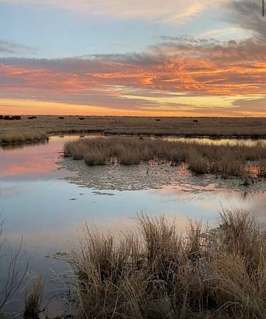 324 Acres of Improved Land for Sale in Henrietta, Texas