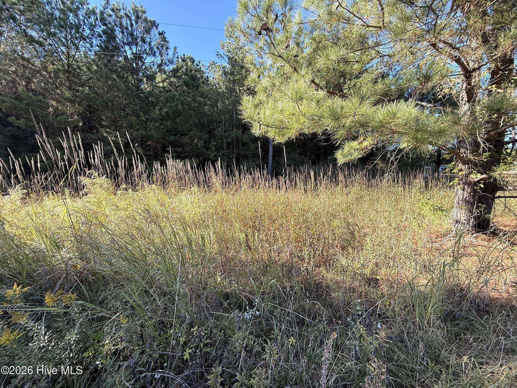 0.43 Acres of Land for Sale in Farmville, North Carolina