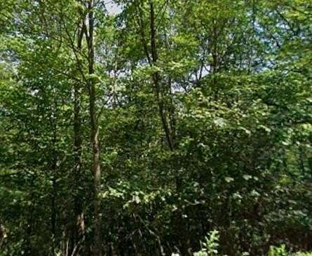 10.6 Acres of Land for Sale in Kunkletown, Pennsylvania