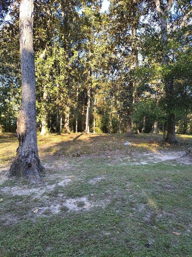 0.3 Acres of Residential Land for Sale in Thomasville, Georgia