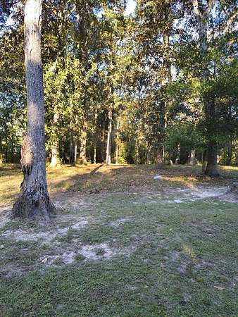 0.3 Acres of Residential Land for Sale in Thomasville, Georgia