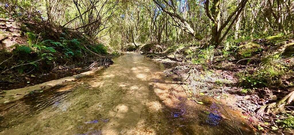 13 Acres of Land for Sale in Wicksburg, Alabama