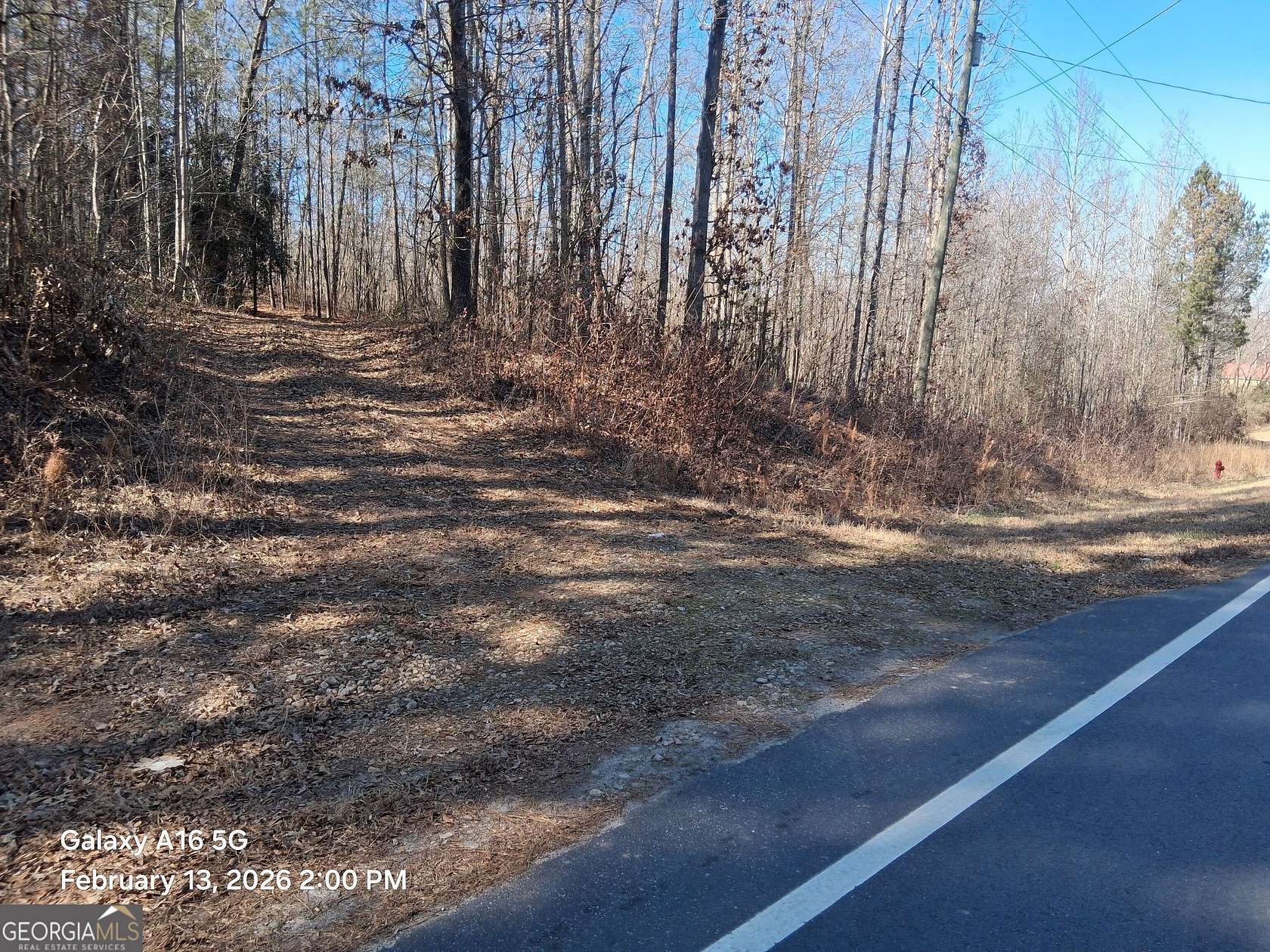 5 Acres of Land for Sale in Grantville, Georgia