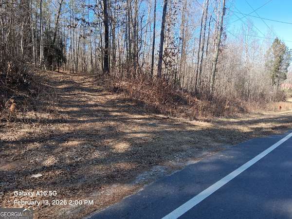 5 Acres of Land for Sale in Grantville, Georgia