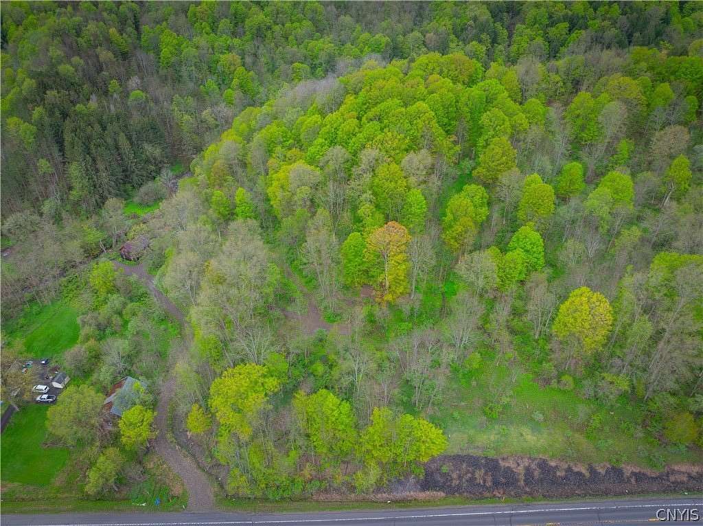 72.2 Acres of Recreational & Residential Land for Sale in Herkimer, New York
