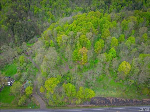 72.2 Acres of Recreational & Residential Land for Sale in Herkimer, New York