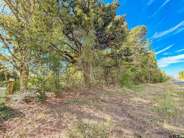 23.7 Acres of Land for Sale in Bullard, Texas