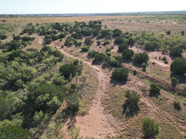 51 Acres of Land for Sale in Ovalo, Texas