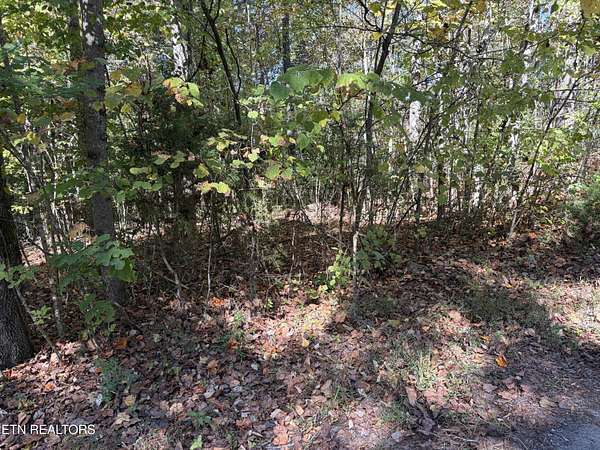 4 Acres of Residential Land for Sale in New Tazewell, Tennessee