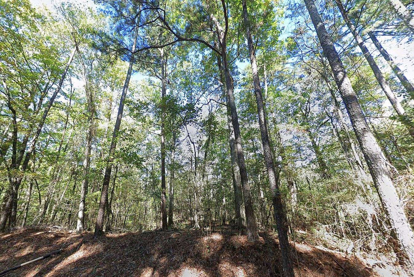 0.33 Acres of Residential Land for Sale in Brandon, Mississippi