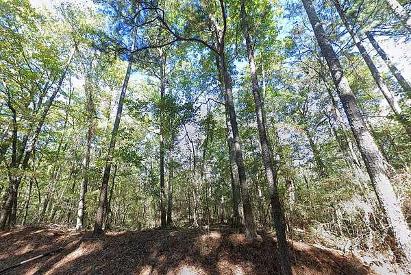 0.33 Acres of Residential Land for Sale in Brandon, Mississippi