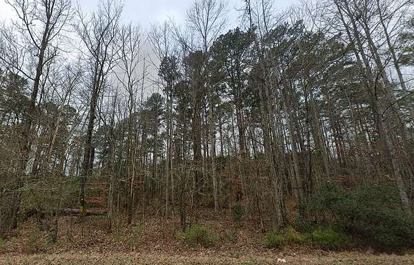 0.19 Acres of Residential Land for Sale in Toomsuba, Mississippi