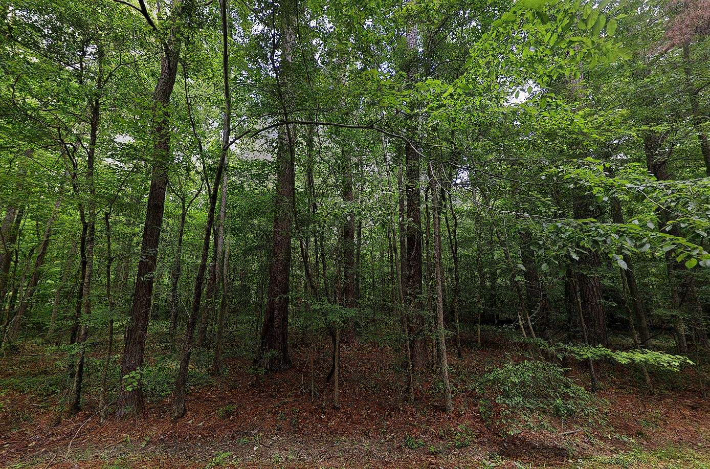 0.28 Acres of Residential Land for Sale in Brandon, Mississippi
