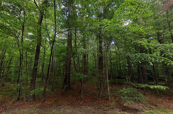 0.28 Acres of Residential Land for Sale in Brandon, Mississippi