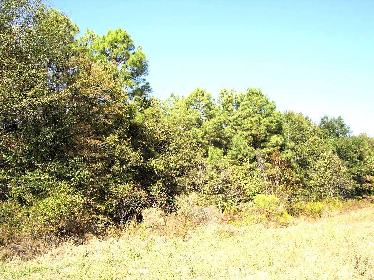 8.57 Acres of Commercial Land for Sale in Ashdown, Arkansas