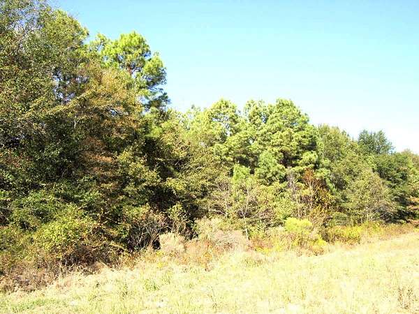 8.57 Acres of Commercial Land for Sale in Ashdown, Arkansas